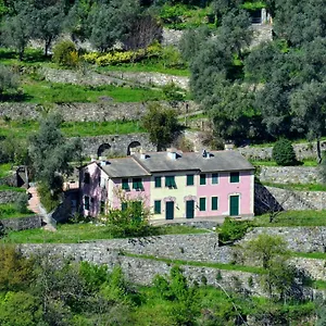 https://villa-olivari-apt-la-lavanda.hotelitalianriviera.com